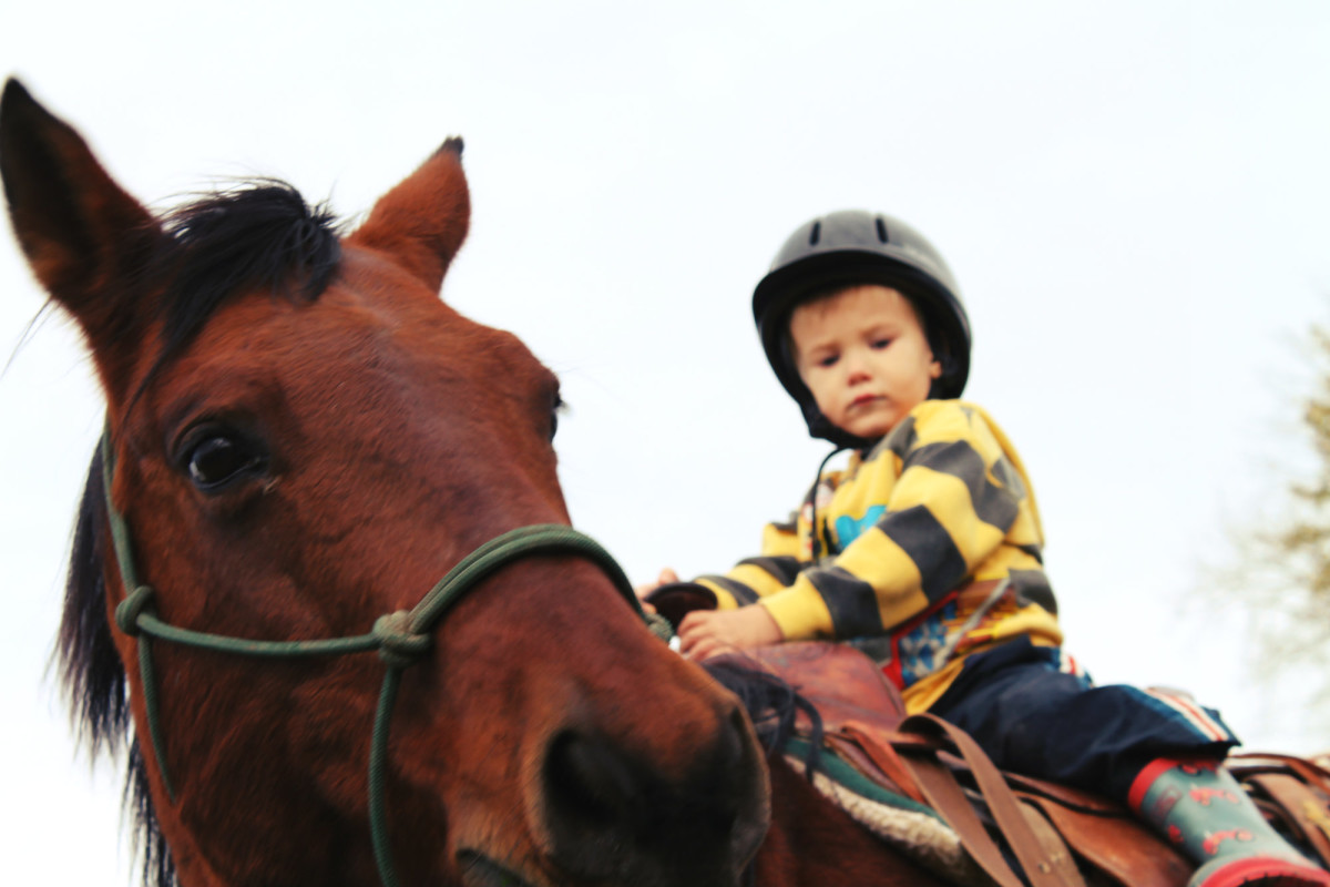 Little Jack, riding Red