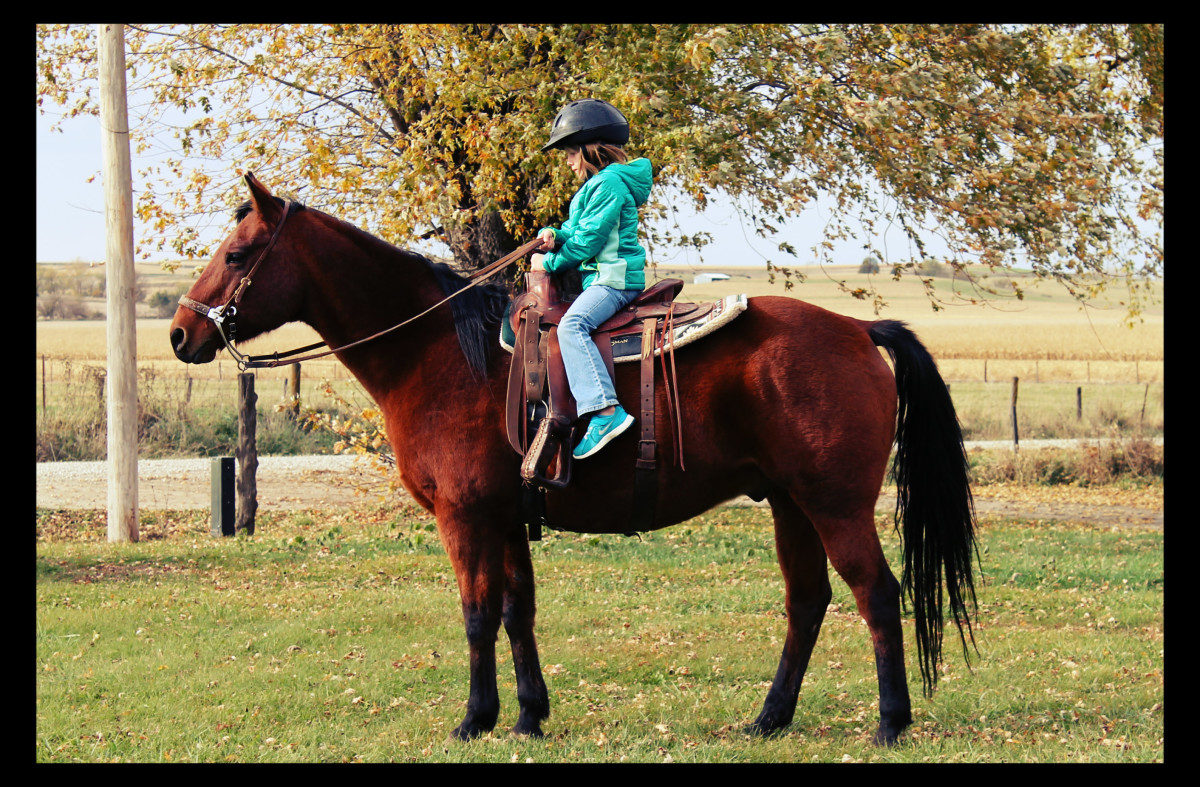 Kate riding Red