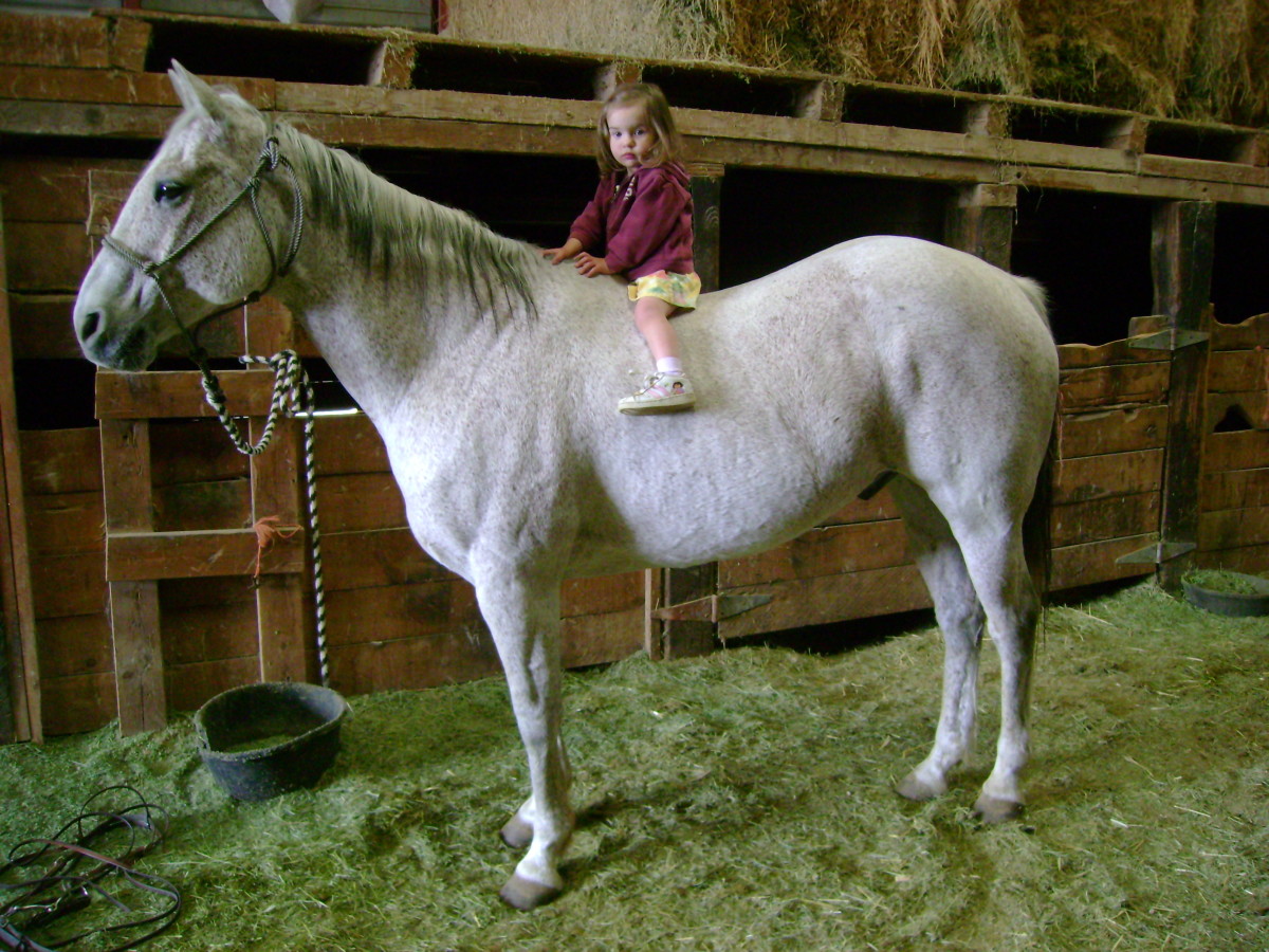 Madie Riding Rudy