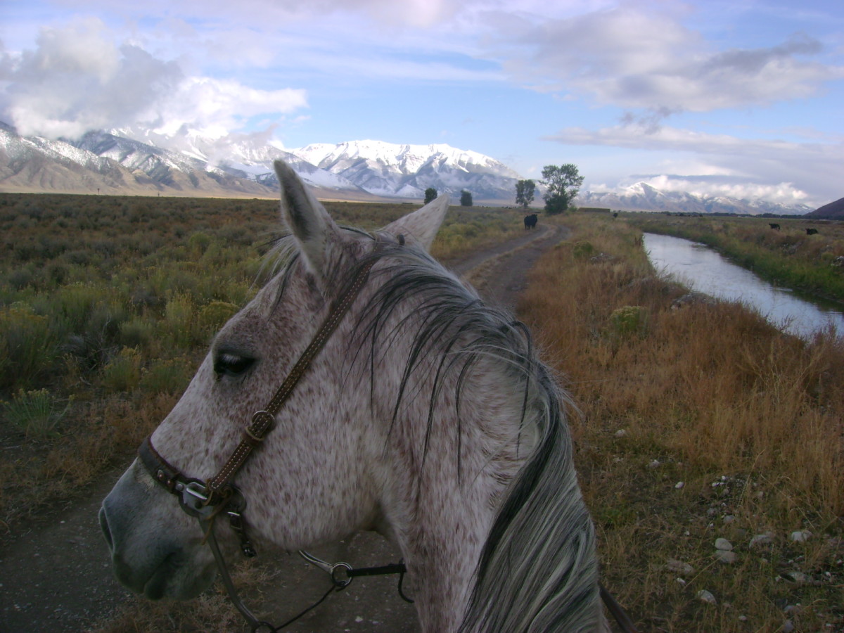 Riding Rudy in Idaho