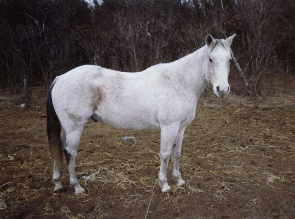 Rudy in Nebraska