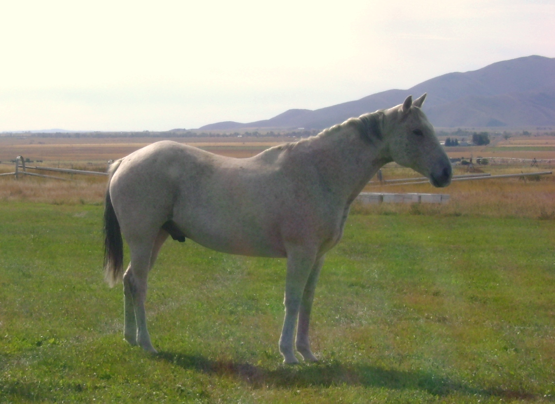 Rudy, Idaho 2009