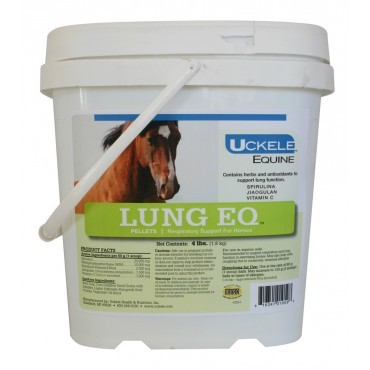 Lung EQ Herbal Supplement for Horses With Heaves