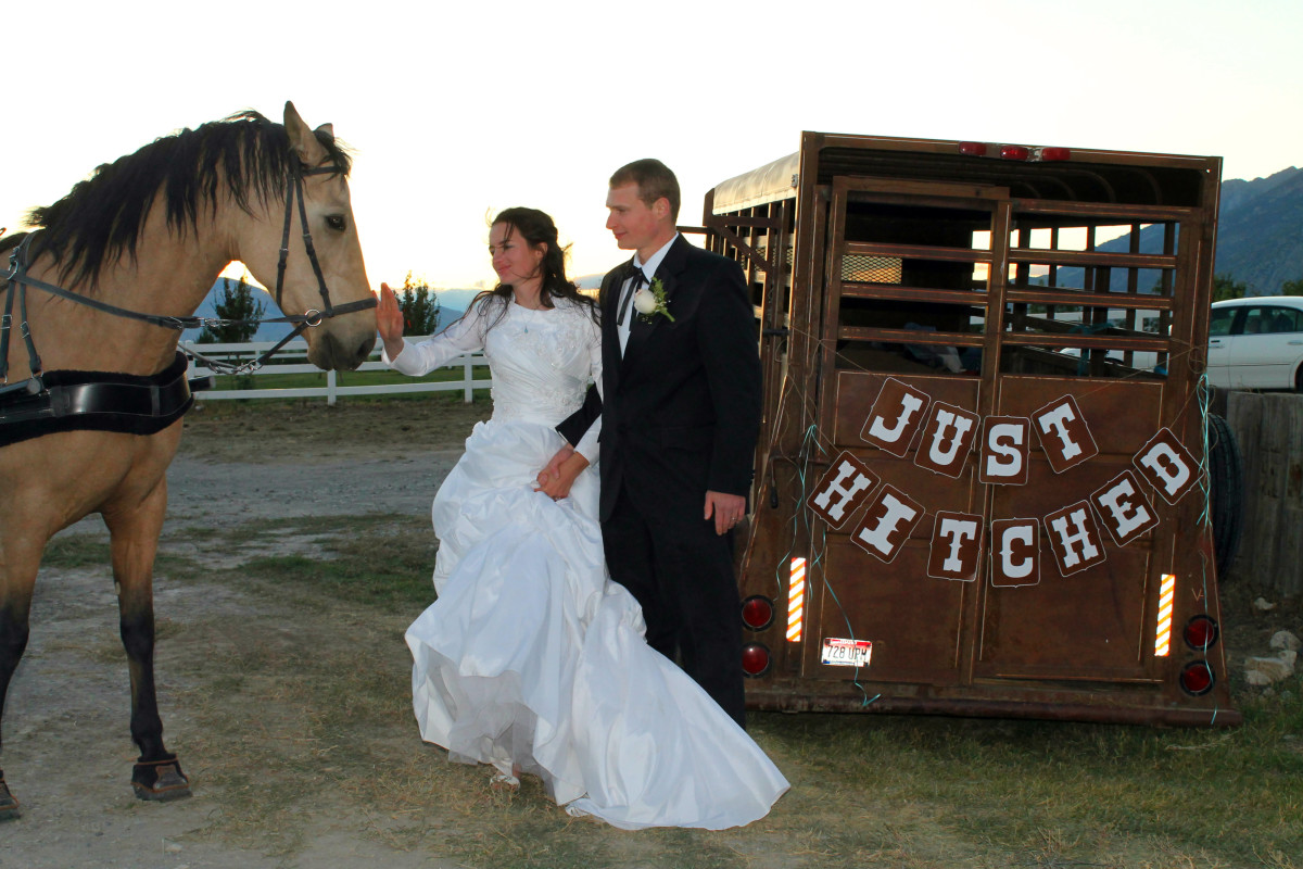 Just Hitched