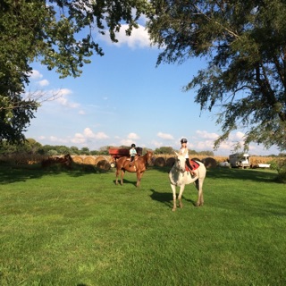 Riding Lessons for Beginners