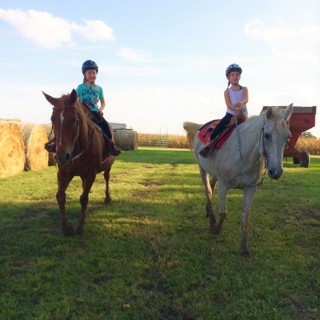 Horseback Riding Lessons