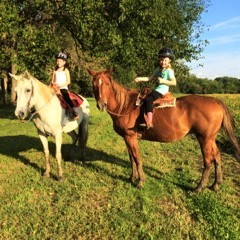 Horseback Riding Lessons