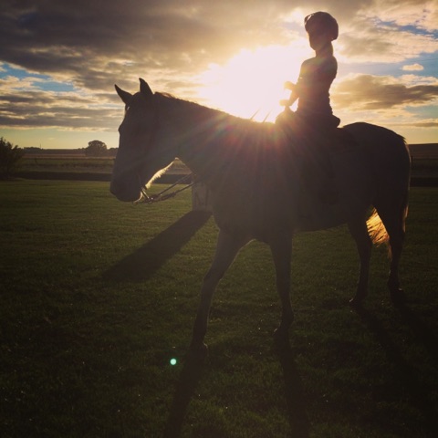 Riding Cricket for Horseback Riding Lessons