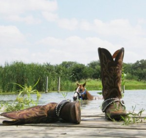 Swimming With Horses