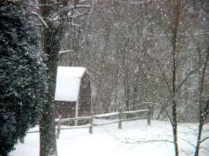 Snowy Barn