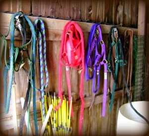 My Tack Room