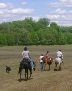 Horseback Riding