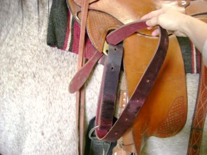 Western Rigging On A Saddle