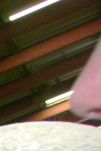 My Sister's Nose