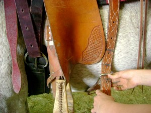 The Back Cinch of A Western Saddle