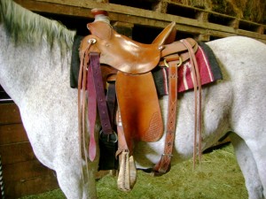 How To Saddle A Horse Western