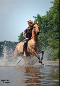 Riding Horses Bareback in Summer