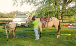 Putting The Bridle On