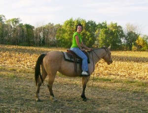 Training Horses - Mouthing the Bit