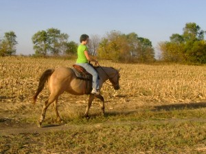 Horseback Riding - Stepping Out Nicely