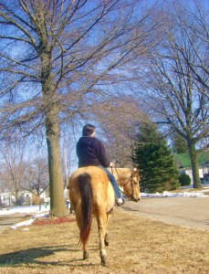 Riding the Buckskin Mare Through Town