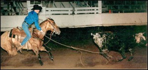 Our Buckskin Mare's Sire Command A Buck