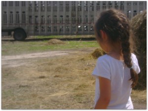 Our Daughter Watching the Cattle Unload