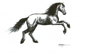 How To Draw a Horse - Horse Drawing
