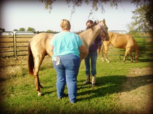 Dr. Corie England, DVM, of Gravel Road Equine Ambulatory Service, LLC