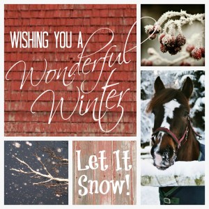 Have A Wonderful Winter